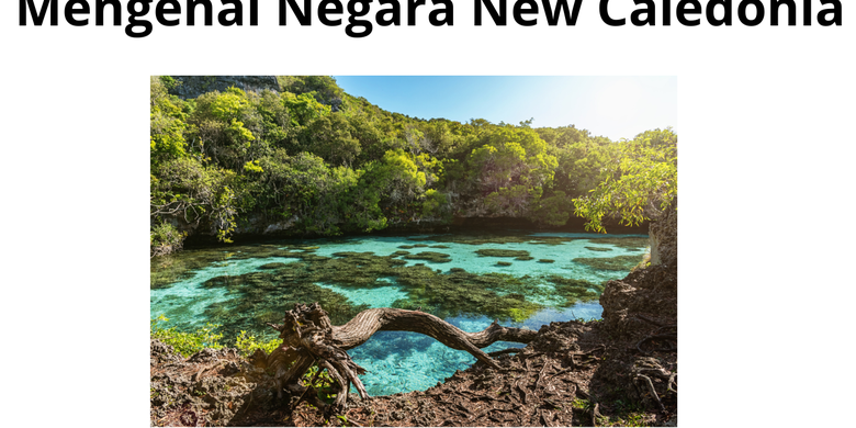 Mengenal Negara New Caledonia Halaman all