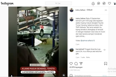 Bikin Heboh, Ada Kijang Masuk Bengkel Toyota