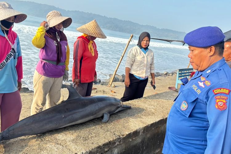 Upwelling Picu Biota Laut Mendekat ke Pesisir Selatan Jabar, Dosen Unpad Jelaskan Sebabnya 
