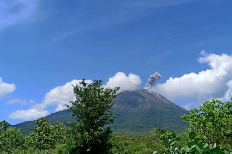 Gunung Ile Lewotolok erupsi pada Jumat (23/2/2024) pukul 13.40 Wita