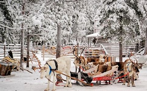 No Christmas Cheer as Pandemic Batters Finland’s Rovaniemi Tourism