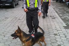 Anjing Pelacak Pun Kesulitan Cari Korban Longsor Banjarnegara 