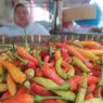 Cabai Mahal, Emak-emak Semarang Terpaksa Perbanyak Tomat saat Membuat Sambal