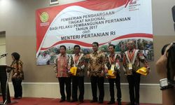 Penghargaan untuk Para 