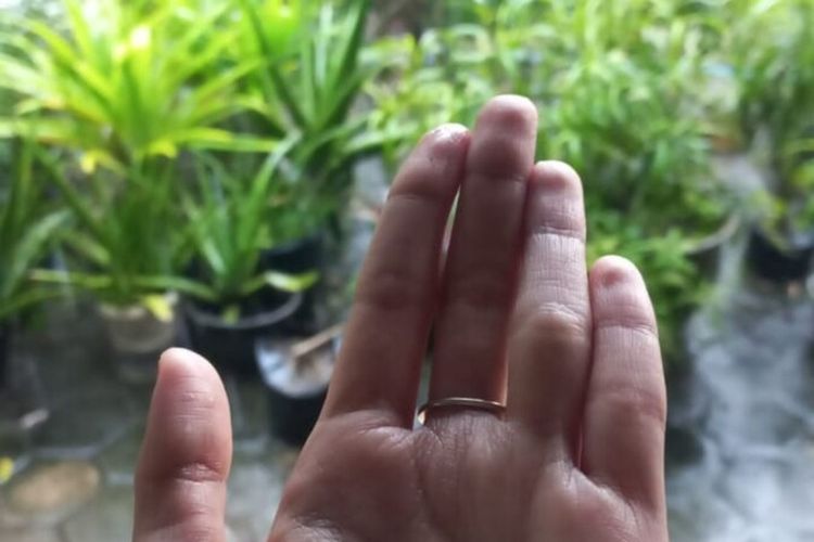 Butiran Es bersamaan saat Hujan di Kapanewon Semanu, Gunungkidul, Yogyakarta, Senin (28/3/2022)