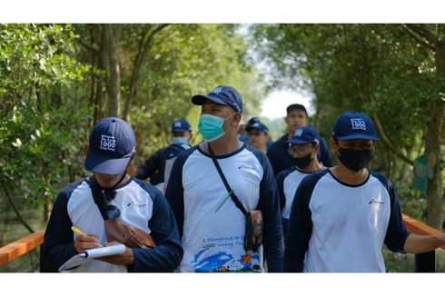 Serius Kembangkan Kawasan Wisata Mangrove Pertama di Semarang, Pertamina Ajak Kelompok Binaan Belajar ke Indramayu