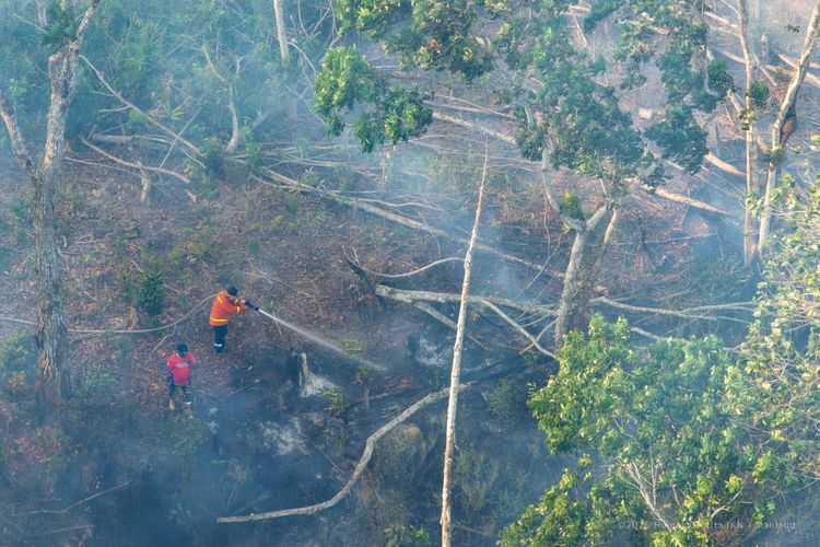 Dari OMC hingga Pengeboran Air: Jurus Otorita Selamatkan IKN dari Kekeringan