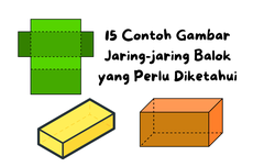 15 Contoh Gambar Jaring-jaring Balok yang Perlu Diketahui