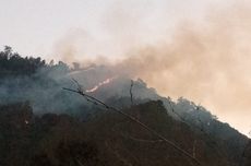 1.574 Hektar Lahan di Hutan Lindung Coban Rondo Terbakar