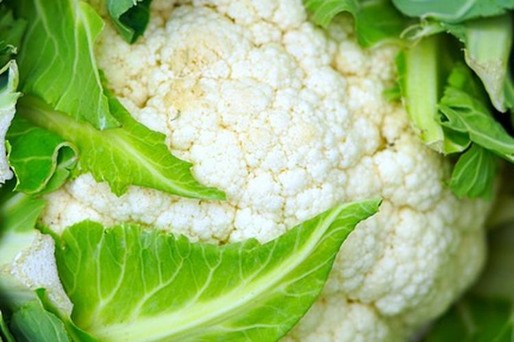 Kembang kol, bunga kol