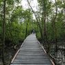Wisata Mangrove Jambi Diapresiasi, Serap Karbon 6 Kali Lipat Tanaman Biasa