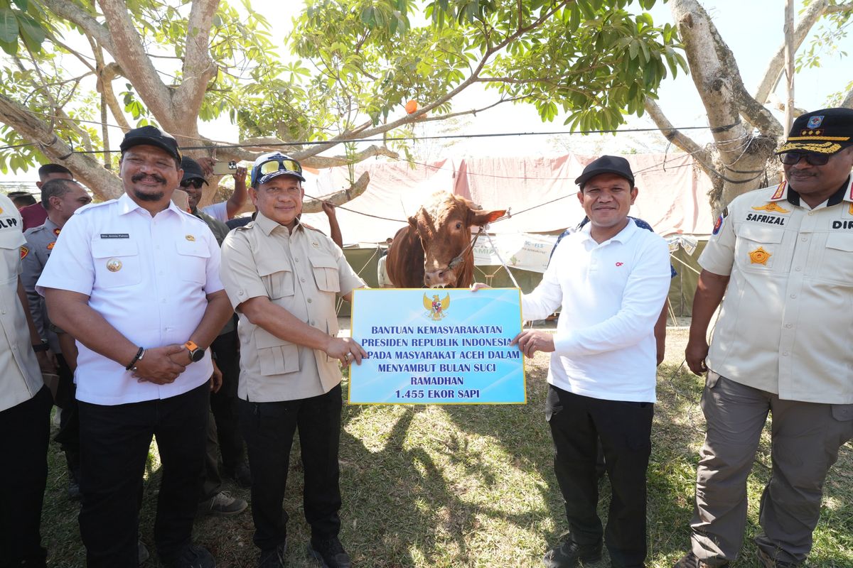 Ketua Satuan Tugas (Kasatgas) Percepatan Rehabilitasi dan Rekonstruksi (PRR) Pascabencana Sumatera Muhammad Tito Karnavian menyerahkan secara simbolis bantuan 1.455 ekor sapi dari Presiden Prabowo Subianto untuk masyarakat terdampak bencana di Aceh, Jumat (13/2/2026).