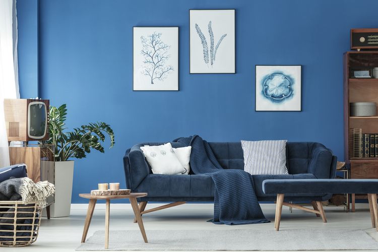 Ilustrasi ruang keluarga dengan warna dinding biru. 