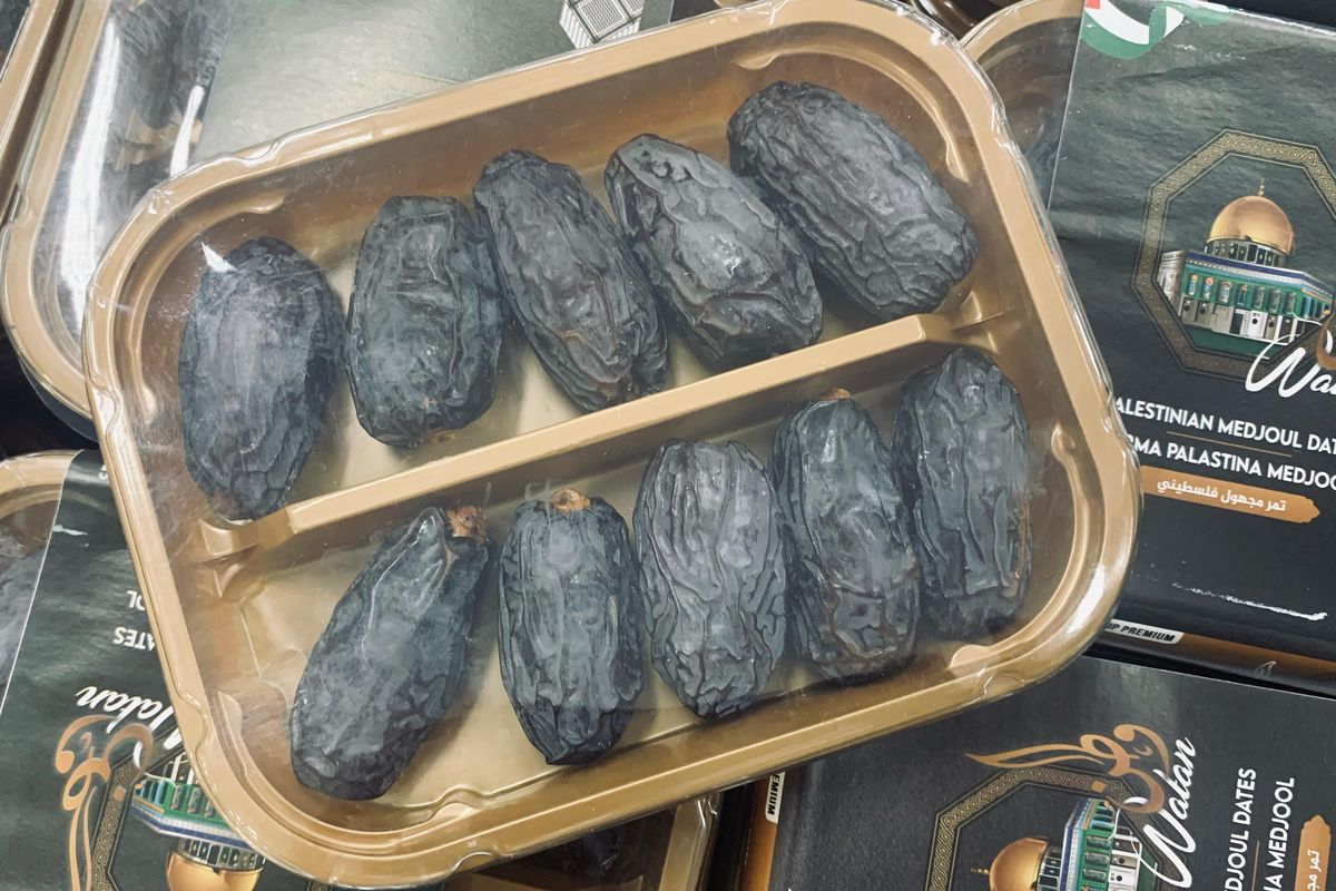 Kurma Medjool menjadi salah satu kurma premium yang paling dicari karena teksturnya yang lembut dan empuk, berbeda dengan kurma pada umumnya. engan memiliki rasa manis dengan ukuran lebih besar, sekitar tiga hingga empat kali lipat dari kurma biasa. 