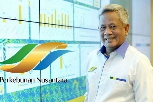 13 PTPN Bergabung, Bangun Pabrik Bio CNG dan Remajakan 60.000 Hektar Sawit Rakyat