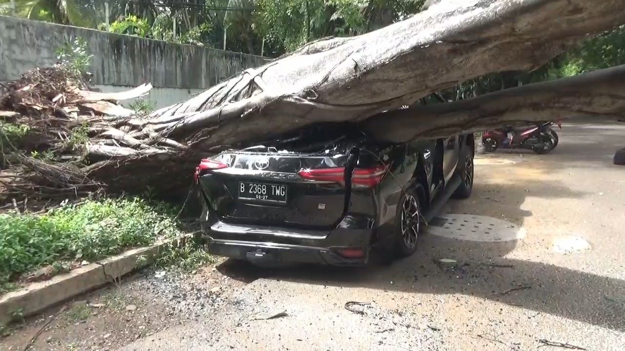 Mobilnya Tertimpa Pohon di Depan Rumah Prabowo, Dokter: Saya Beberapa Kali Parkir di Sini...