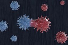 Apakah Mutasi Membuat Virus Corona Lebih Mudah Menular?