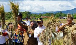 Petani di Klaten Panen Padi IP400, Mentan SYL Ingin Perluas Penerapan IP400