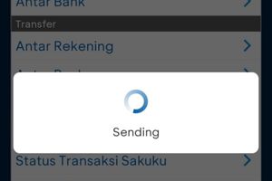 Minta Maaf, Manajemen Sebut Aplikasi BCA Mobile Sudah Normal, Saldo Belum Balik Diminta Lapor