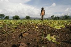Lima Petani Tewas, India Tengah Berlakukan Jam Malam
