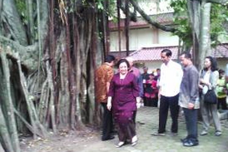Megawati Soekarnoputri dan Jokowi saat melihat Beringin Soekarno di Universitas Sanata Dharma Yogyakarta, Sabtu (28/12/2013).