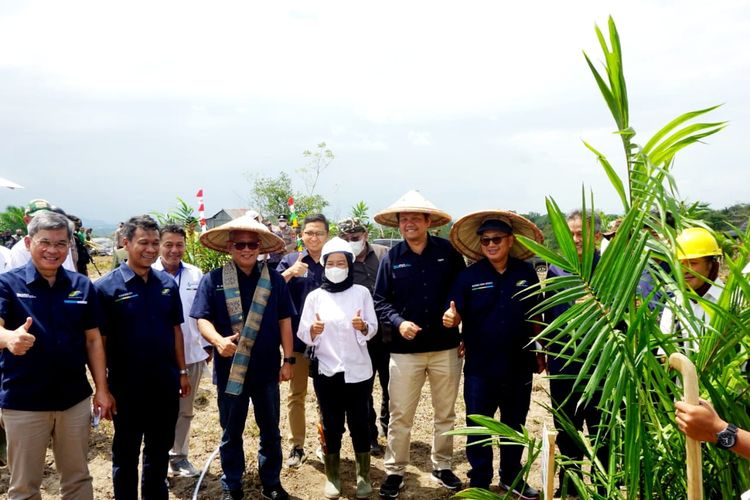PTPN Group memulai proses budidaya kelapa sawit di Enrekang, Sulsel. 