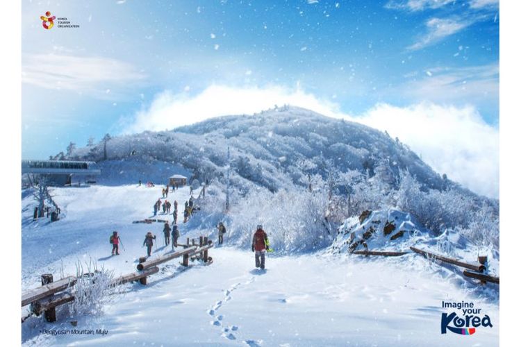 Musim dingin menjadi salah satu waktu terbaik untuk berlibur ke Korea. 