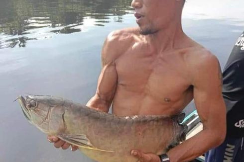 Sungai di Kalbar Diduga Tercemar Limbah Sawit, Ikan Mati Mendadak