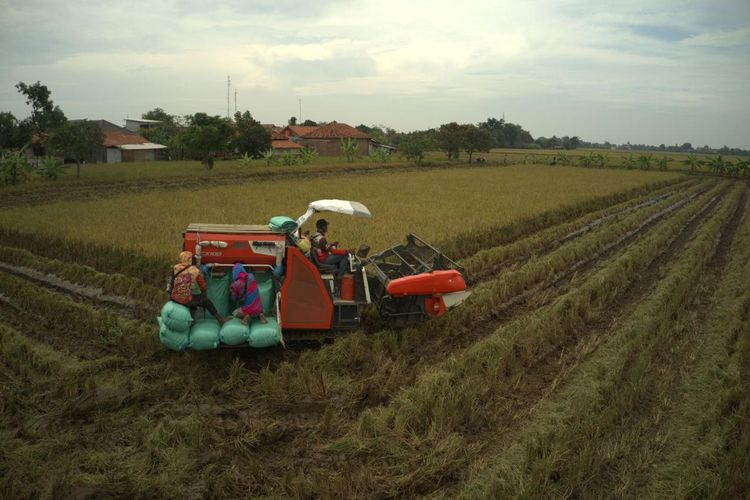Kementerian Pertanian (Kementan) giat mentransformasi sektor pertanian dari konvensional menjadi pertanian modern berbasis teknologi.. Salah satunya, di Kabupaten Indramayu, Jawa Barat (Jabar).