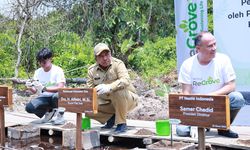 Nestle Indonesia Tanam 30.000 Mangrove di Pesisir  Siak, Alfedri: Sejalan dengan Program Siak Hijau