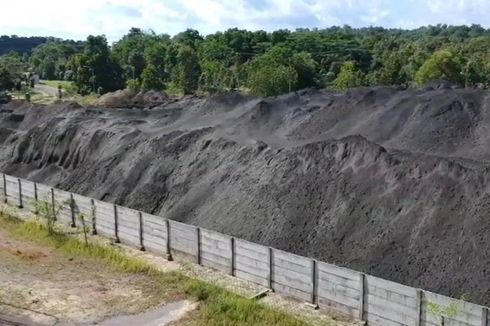 Petani di Bangka Belitung Mulai Gunakan Abu Batu Bara untuk Kesuburan Tanah