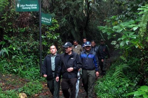 Pendakian Gunung Gede Pangrango Ditutup untuk Pemulihan Ekosistem