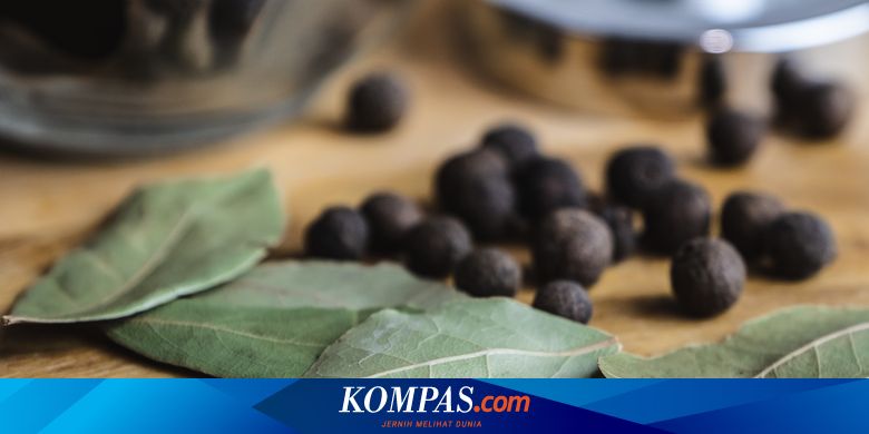 Manfaat Kesehatan Daun Salam dan Cara Pengolahannya - Vimarsana News