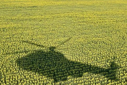 Hasil Investigasi Temukan Bagaimana Cara Rusia Mencuri Hasil Panen Pertanian Ukraina