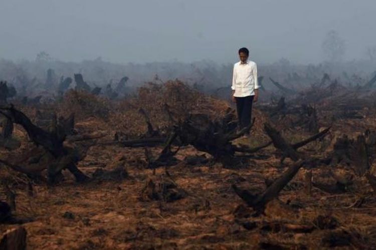 Presiden Joko Widodo berada di tengah area hutan gambut yang rusak dan hangus saat melakukan inspeksi kebakaran hutan di Banjarbaru, Kalimantan Selatan, 23 September 2015.