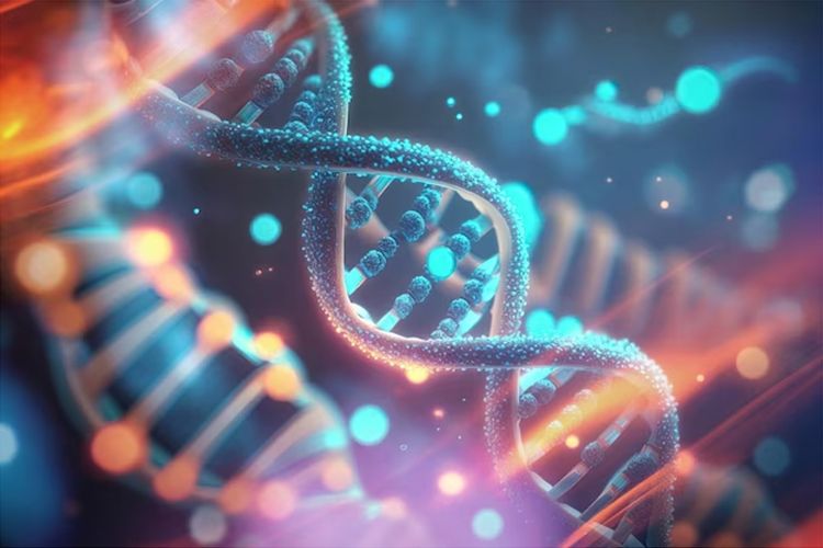 5 Fakta yang Perlu Anda Ketahui tentang DNA Manusia, Apa Saja?
