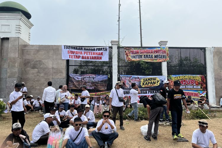 Demo di DPR, Asosiasi Petelur Berharap Pemerintah Segera Tekan Harga Pakan Ayam