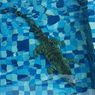 Sempat Dikira Biawak, Ternyata Buaya Seberat 3 Kilogram Nyasar di Kolam Renang Rumah Warga