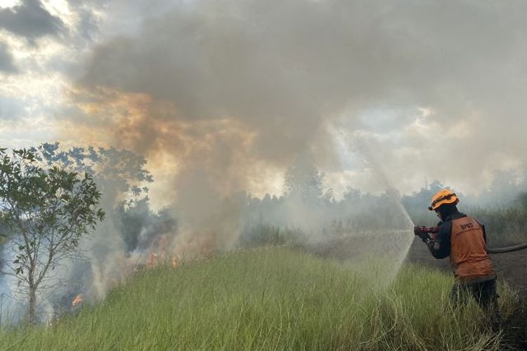 Salah seorang personel tim satgas Badan Penanggulangan Bencana Daerah (BPBD) Provinsi Kalimantan Selatan (Kalsel) sedang memadamkan api yang melanda lahan di Kelurahan Landasan Ulin Barat, Kecamatan Liang Anggang, Kota Banjarbaru, Kalimantan Selatan, Sabtu (3/6/2023). (ANTARA/Tumpal Andani Aritonang)
