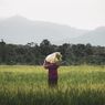 Dengan Program Makmur Pupuk Kaltim, Pendapatan Petani Padi di Banyuwangi Naik Jadi Rp 24 Juta per Hektare