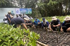 WIKA Tanam 6.300 Bibit Mangrove di PIK dan Muara Sungai Cisadane