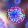Studi: Virus Mencuri Kode Genetis Manusia, Ciptakan Gen Campuran Baru