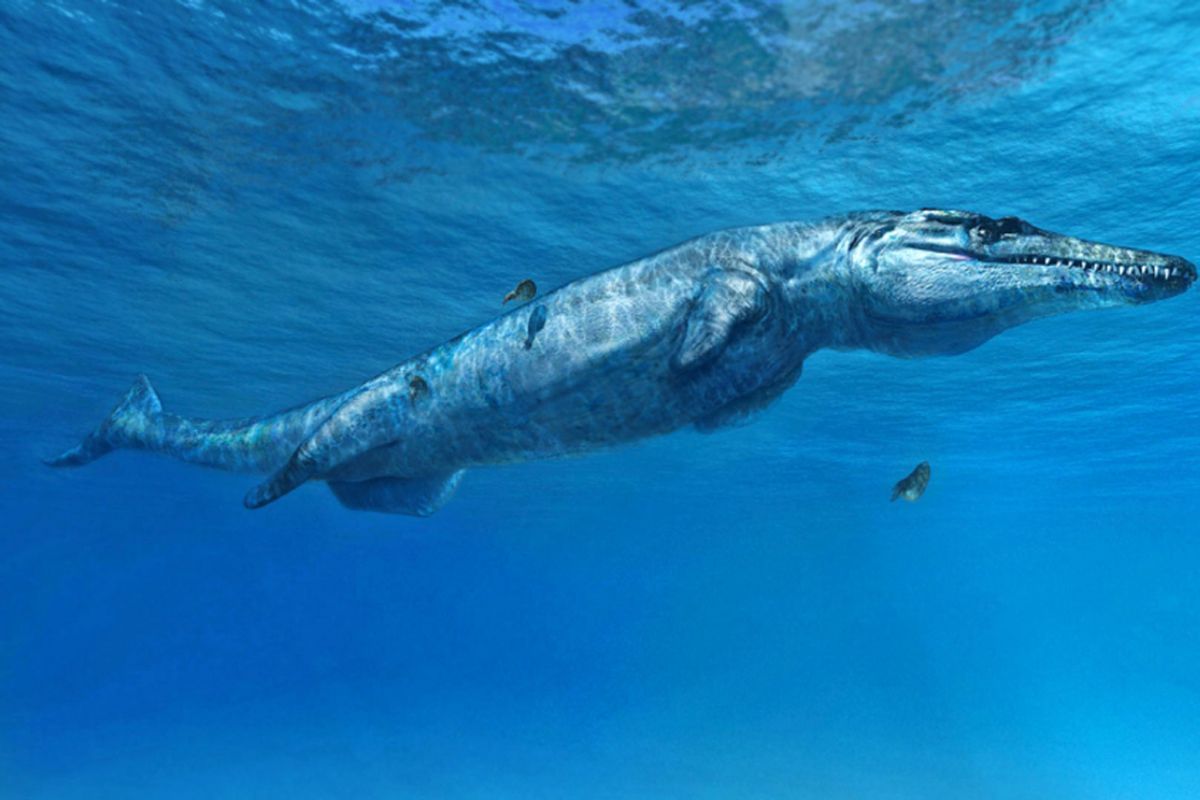 Leldraan melkshamensis?atau dikenal juga sebagai Monster Melksham?sangat mirip dengan spesies yang ditunjukkan dalam ilustrasi ini (Plesiosuchus manselii), yang juga termasuk dalam kelompok Geosaurini.