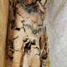 Arkeolog Temukan Mumi Berlapis Emas Tertua di Mesir