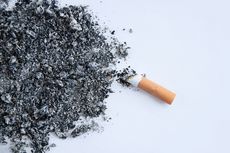 Manfaat Rokok pada Tanaman dan Cara Mengaplikasikannya