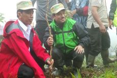 Demi Selamatkan Jakarta, Seribu Pohon Ditanam di Bogor