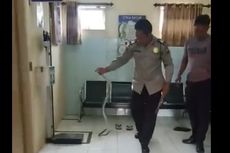 Polisi Tangkap Ular Kobra 1,5 Meter di Dalam Puskesmas