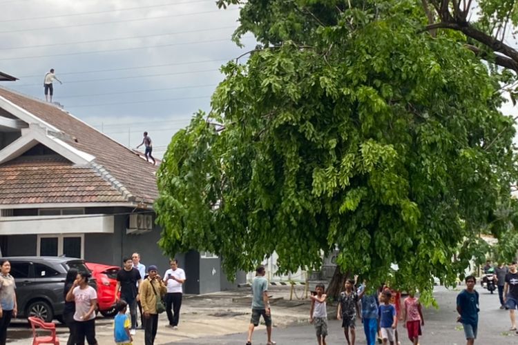 Hujan Angin di  Surabaya: Pohon Tumbang, Mobil Terjun ke Sungai
