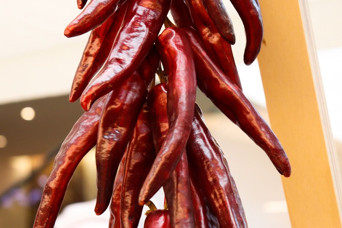 Ilustrasi cabai merah kering khas Korea yang dipakai untuk membuat gochujang. 
