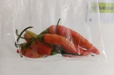 Gerakan Penanaman 21.000 Pohon, Polres Dumai Ajak Pelajar Hijaukan Sekolah